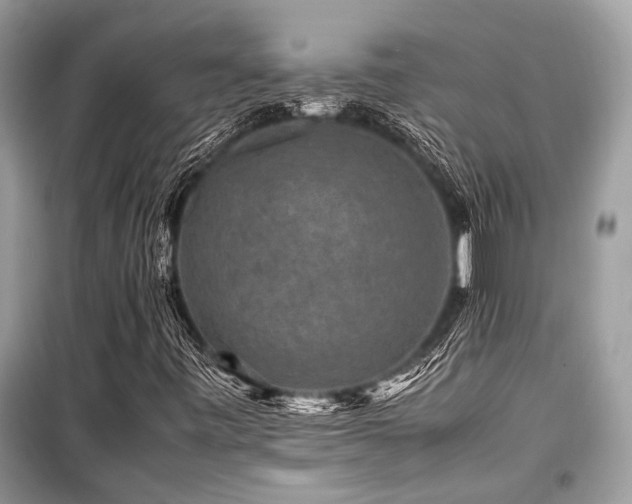 X0000099571443200805161506