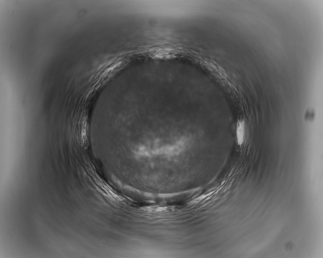 X0000099571444200805161506
