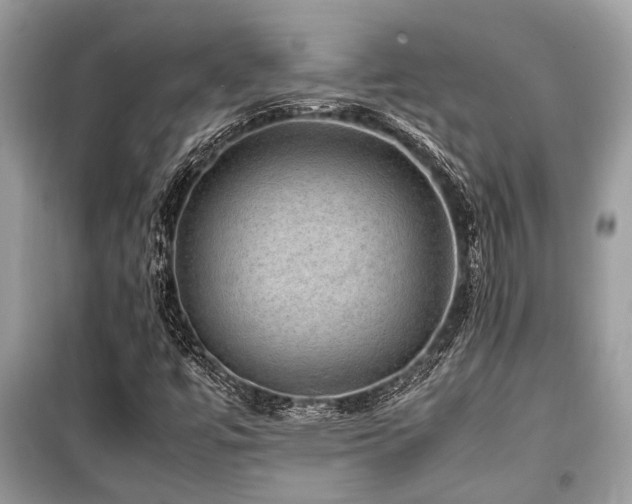 X0000099571447200805161506
