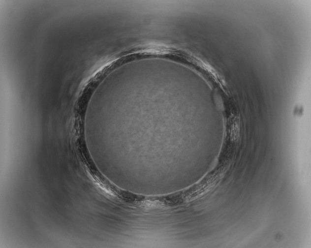 X0000099571448200805161506