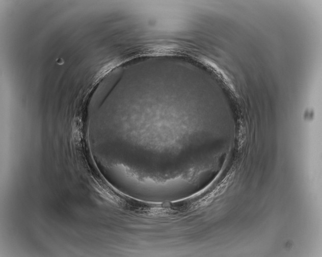 X0000099571449200805161506