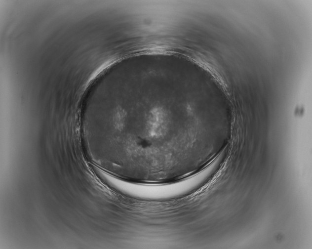 X0000099571450200805161505