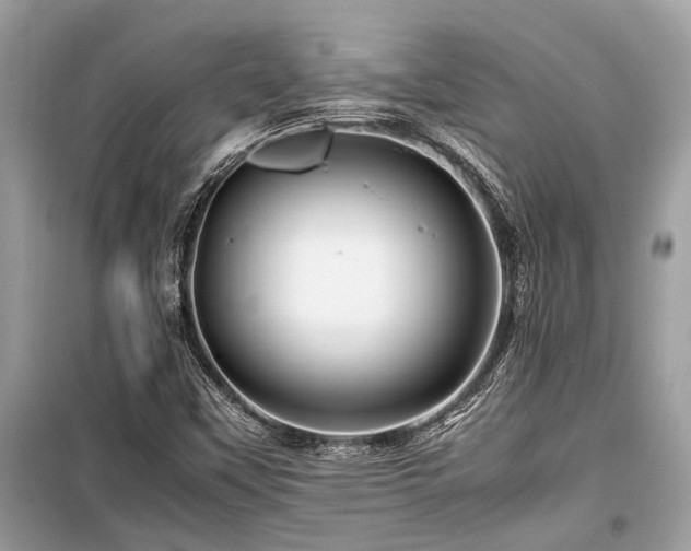 X0000099571451200805161505