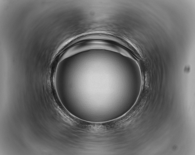 X0000099571452200805161505