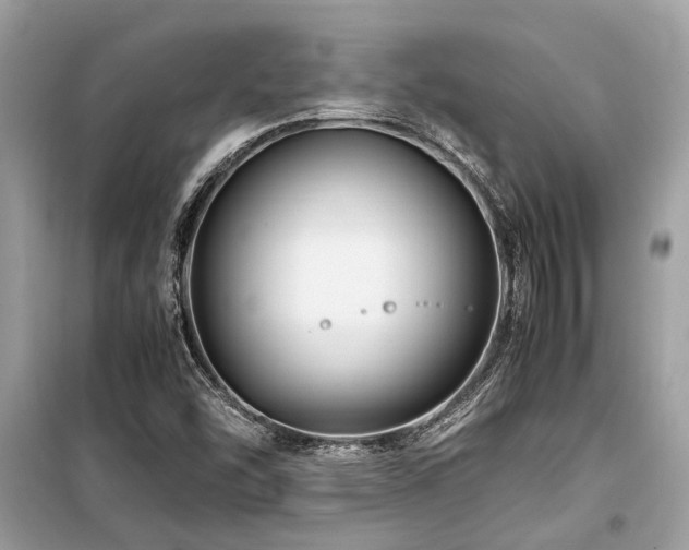 X0000099571454200805161505