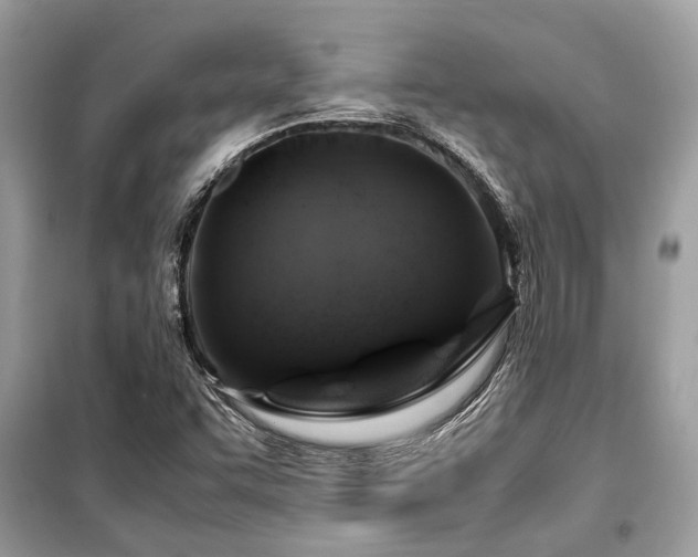 X0000099571455200805161505