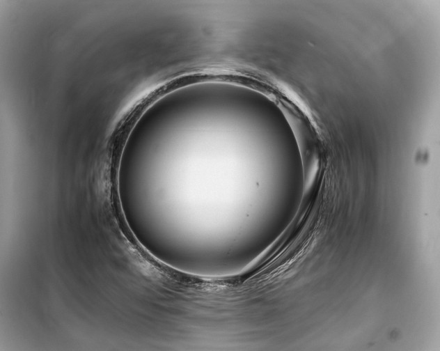 X0000099571456200805161505