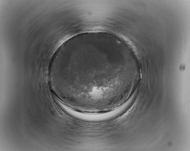 X0000099571457200805161505