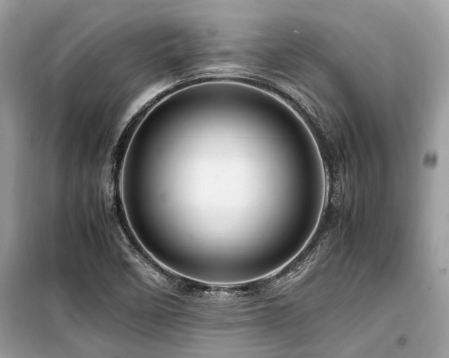 X0000099571458200805161505