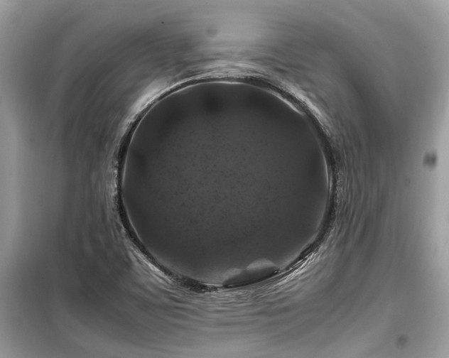 X0000099571459200805161505