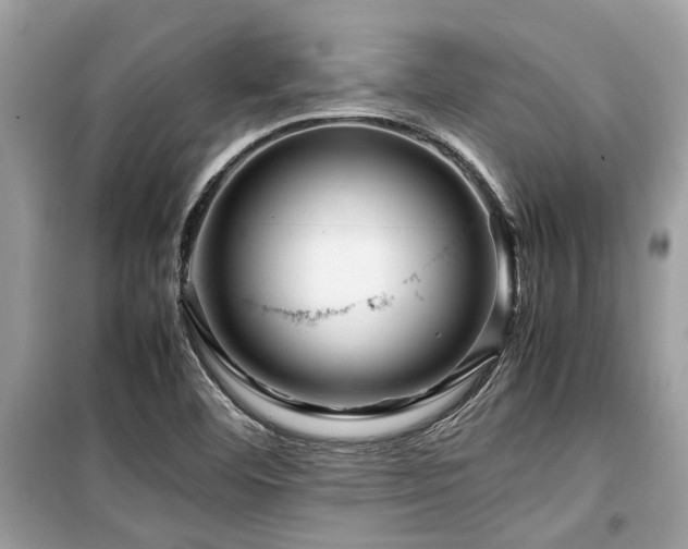 X0000099571460200805161505