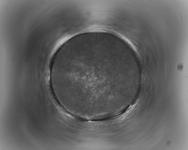X0000099571461200805161505