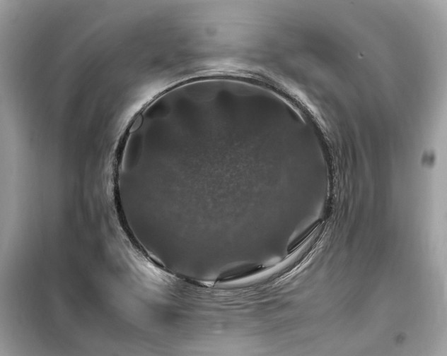 X0000099571463200805161505