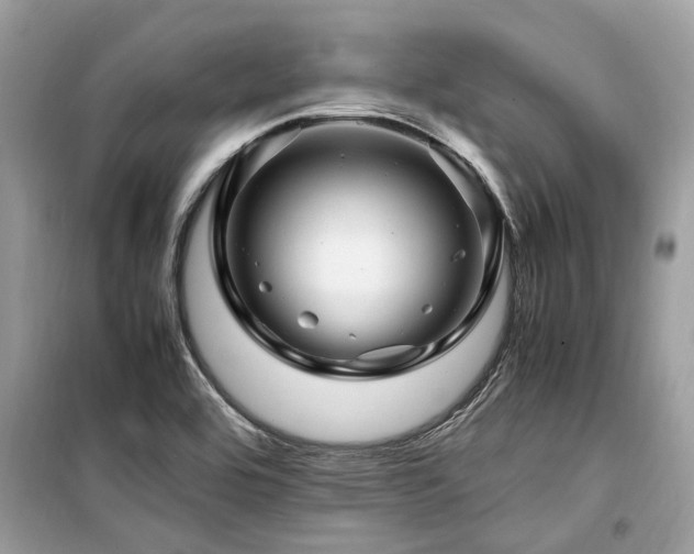 X0000099571464200805161505