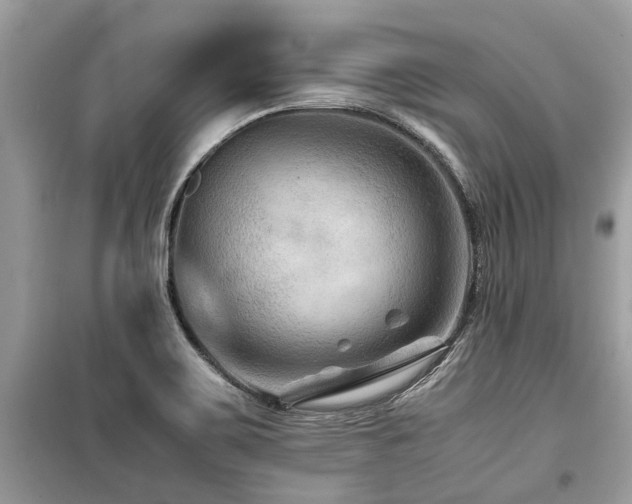X0000099571467200805161505