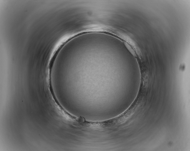X0000099571472200805161505