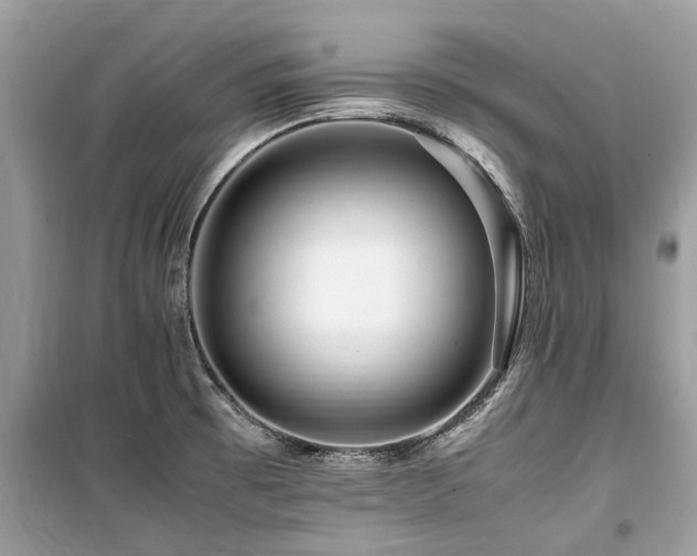 X0000099571473200805161505