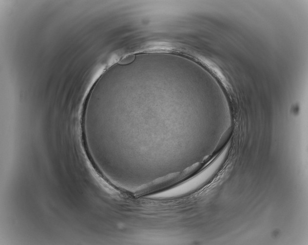 X0000099571475200805161505