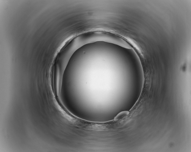 X0000099571476200805161505