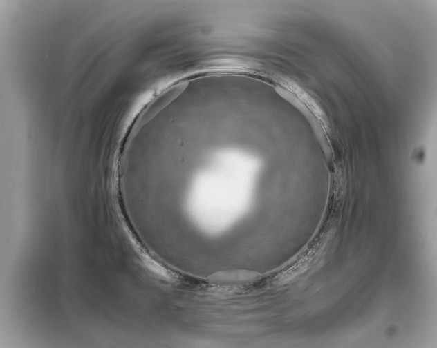 X0000099571477200805161505