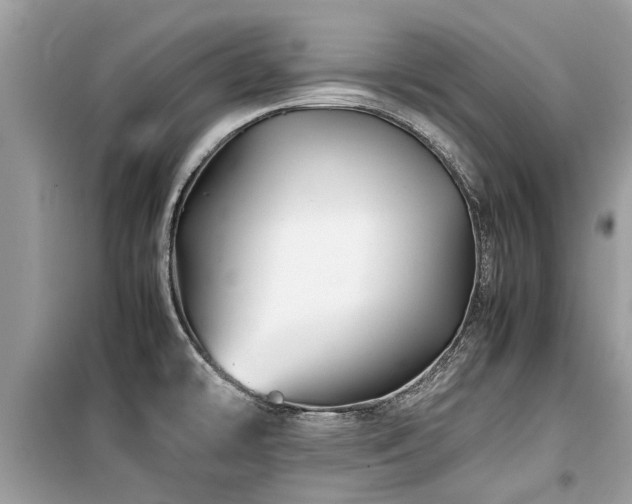 X0000099571478200805161505