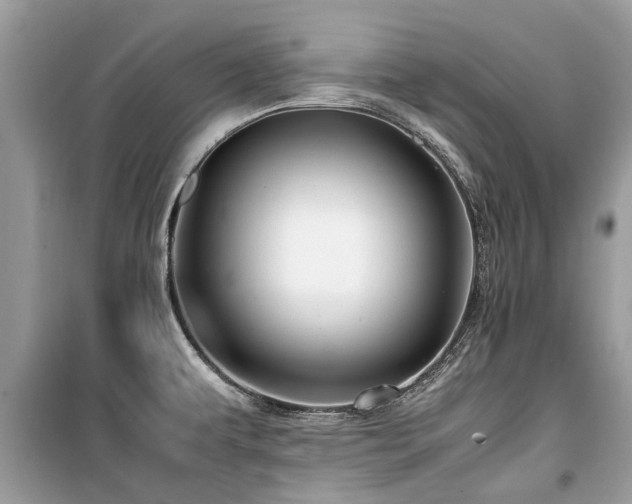 X0000099571479200805161505