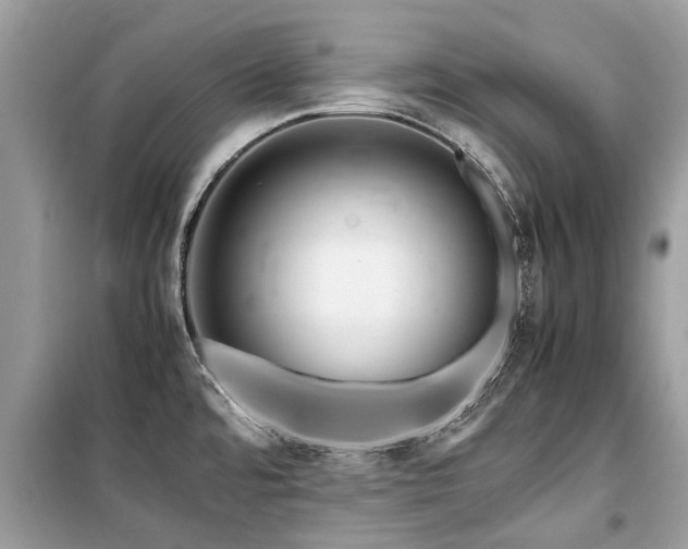 X0000099571480200805161505