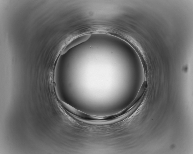 X0000099571481200805161505