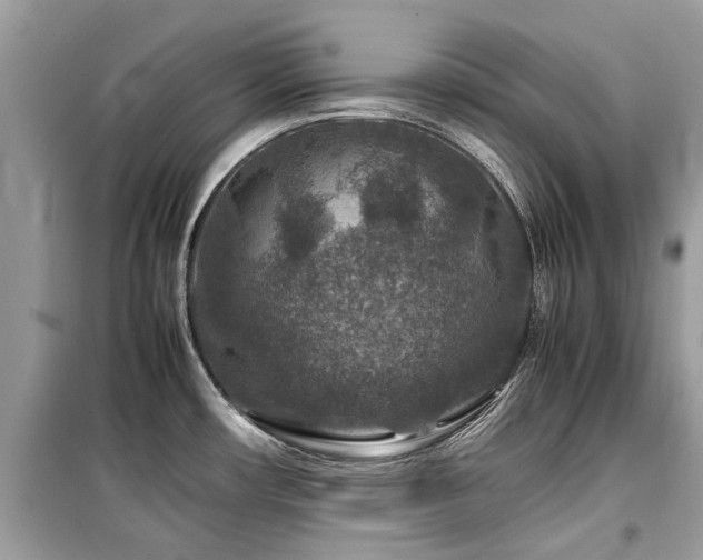 X0000099571482200805161505