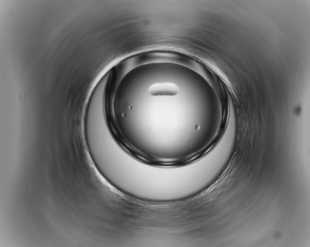 X0000099571484200805161505
