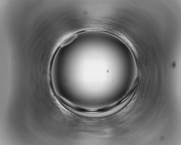 X0000099571485200805161505