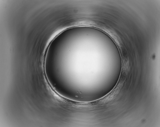 X0000099571486200805161505