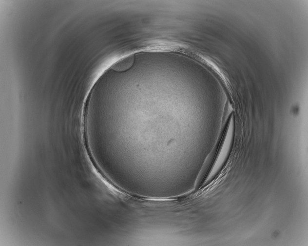 X0000099571487200805161505