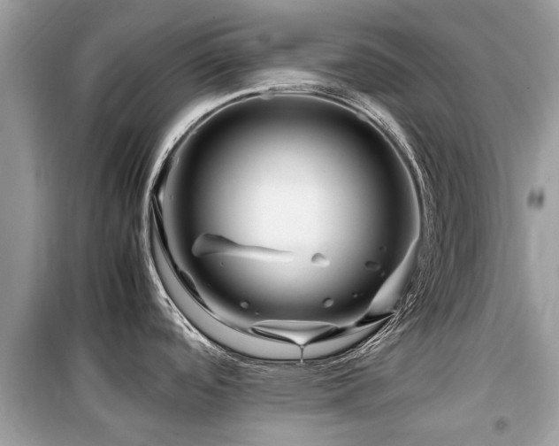 X0000099571488200805161505