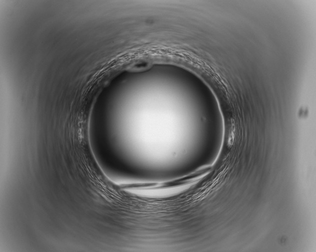 X0000099571490200805161504