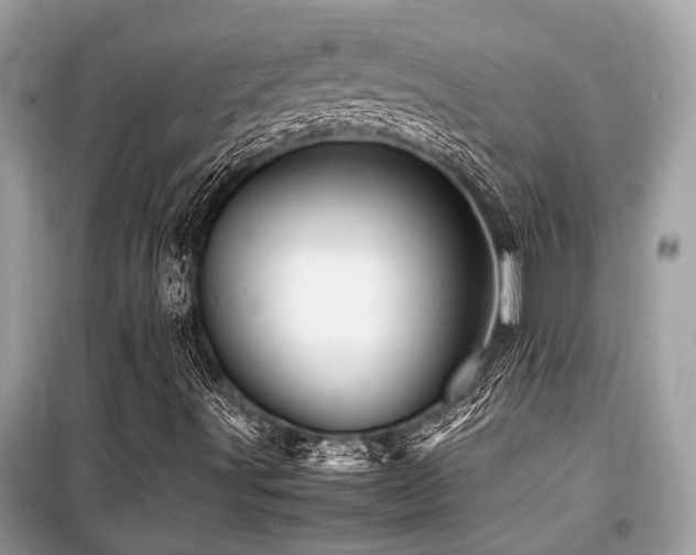 X0000099571491200805161504