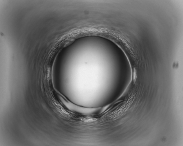 X0000099571492200805161504