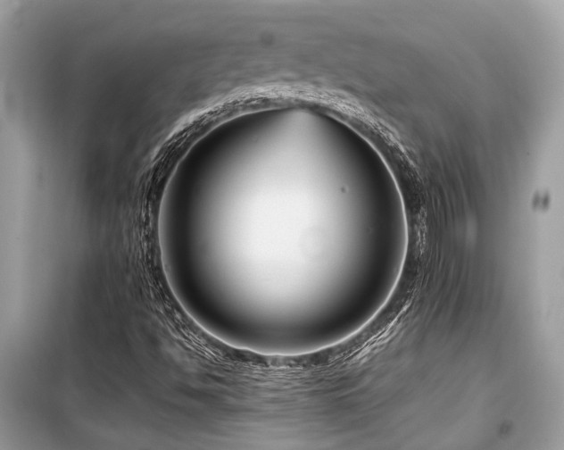 X0000099571494200805161504