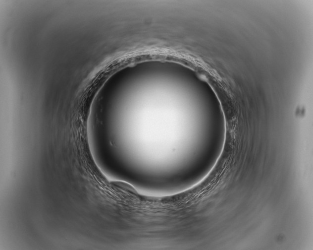 X0000099571495200805161504