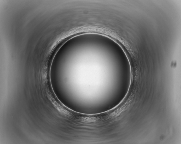 X0000099571499200805161504