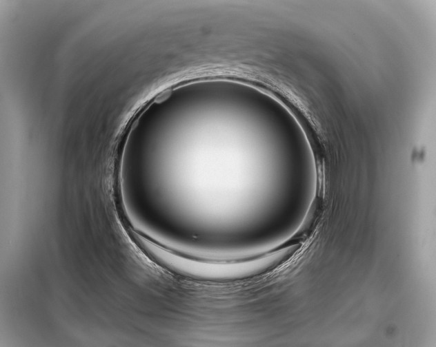X0000099571500200805161504