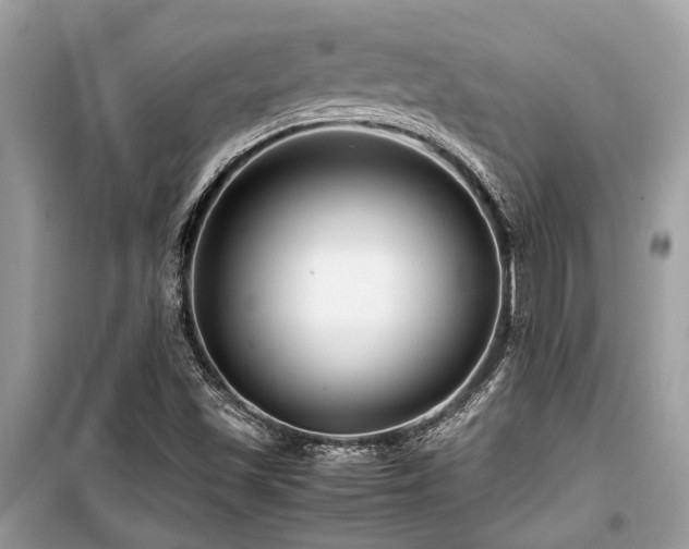 X0000099571501200805161504