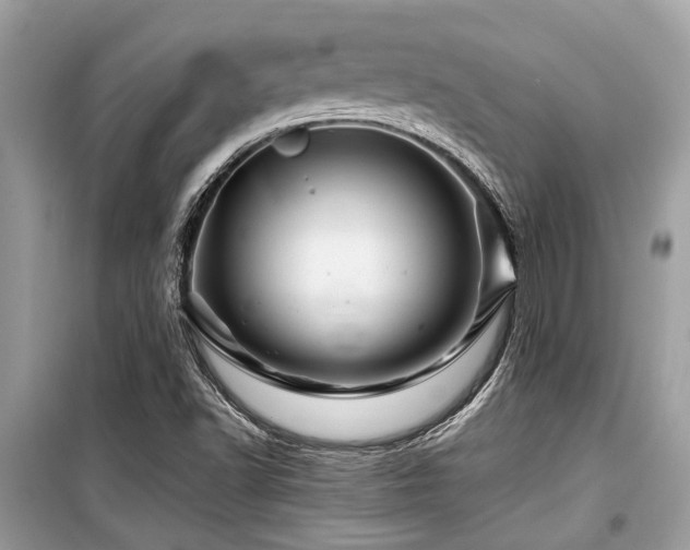 X0000099571502200805161504