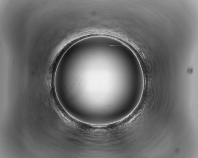 X0000099571503200805161504