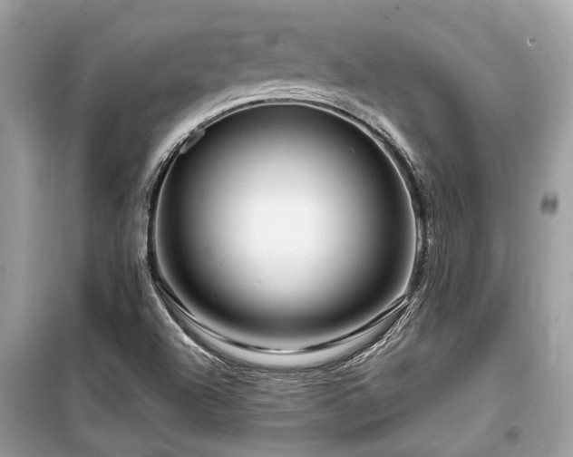 X0000099571504200805161504