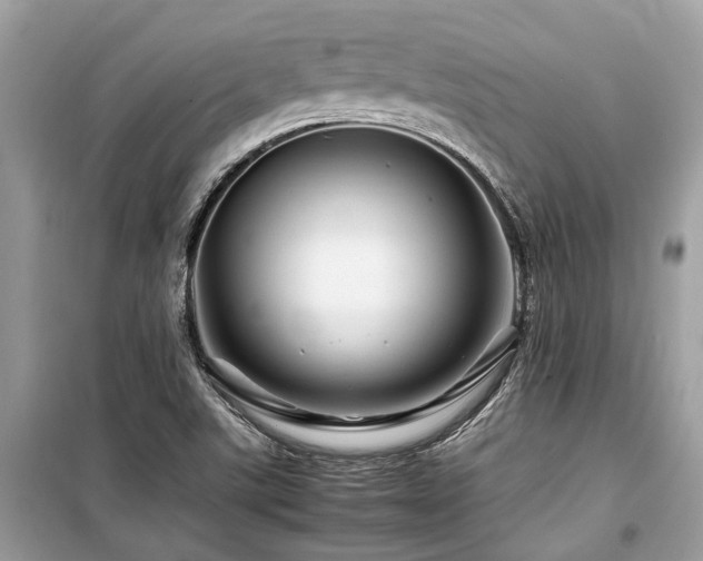 X0000099571507200805161505