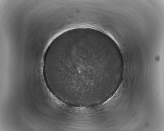 X0000099571508200805161505