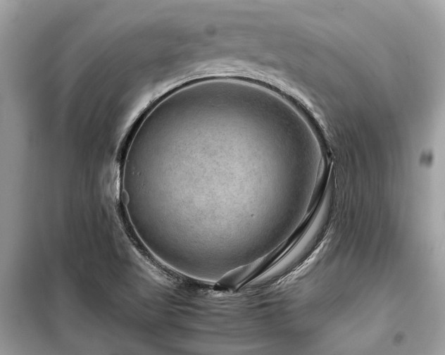 X0000099571509200805161505