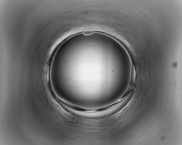X0000099571510200805161505
