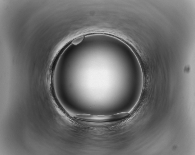X0000099571511200805161505
